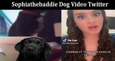 sophia the baddie porn|Sophia The Baddie Dog Archives